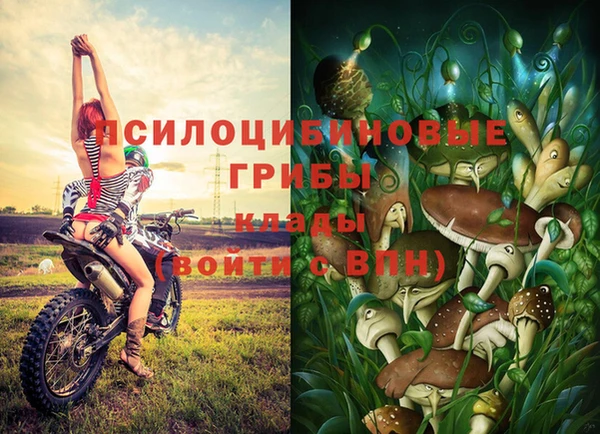 стаф Балабаново