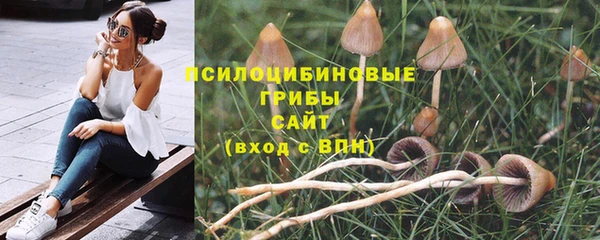 стаф Балабаново