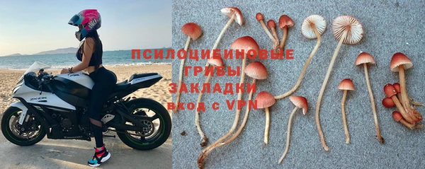 стаф Балабаново